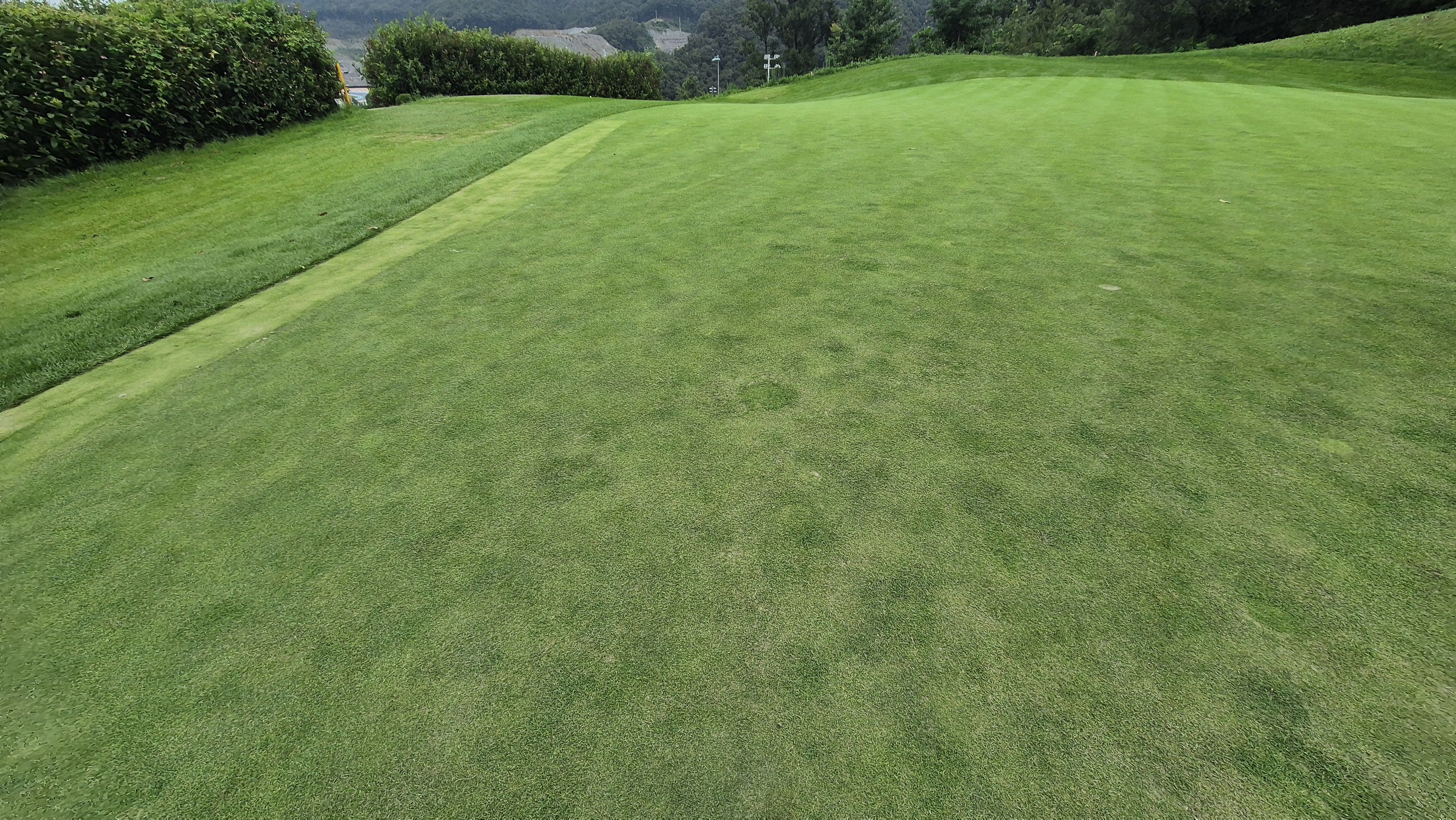 블랙스톤 벨포레cc 그린빠르기 및 난이도