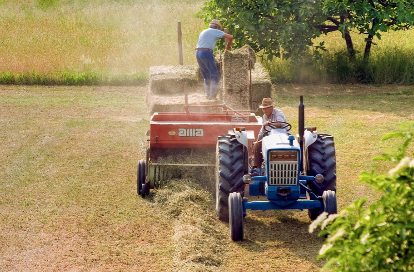 건초 농장 경운기