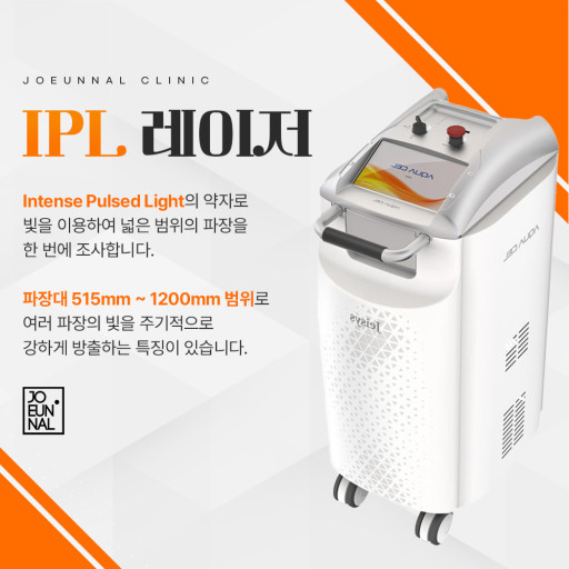 IPL 원리