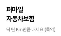 캐롯 퍼마일 자동차보험