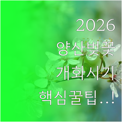 2026 양산 물금 벚꽃축제 일정 및..