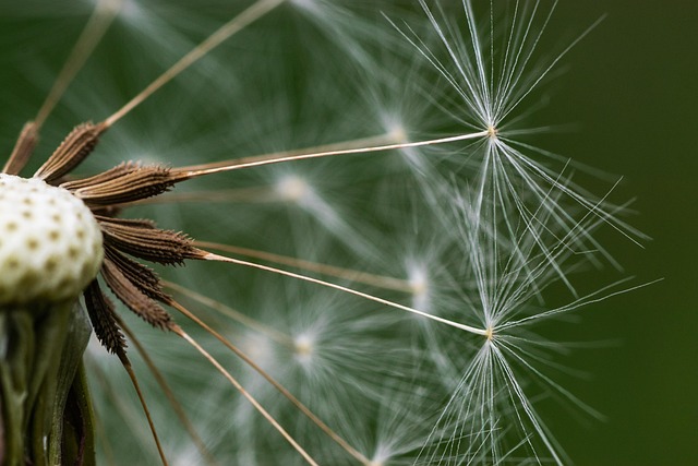 KB저축은행 키위 비상금대출 3