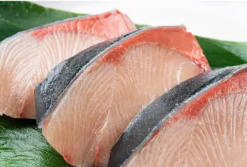 모슬포 대방어 가격 , 효능과 영양성분