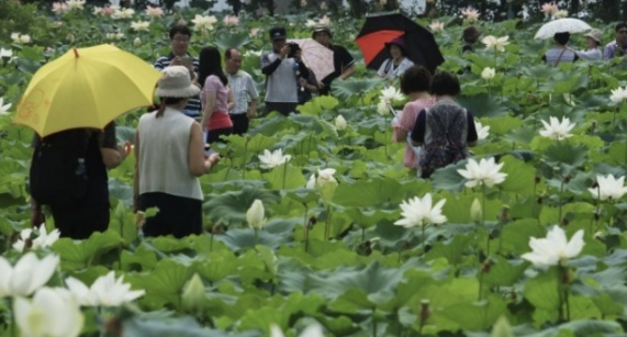 경기도 근교 주말에 아이와 가볼만한 곳 4가지 추천