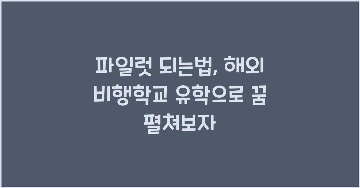 파일럿 되는법