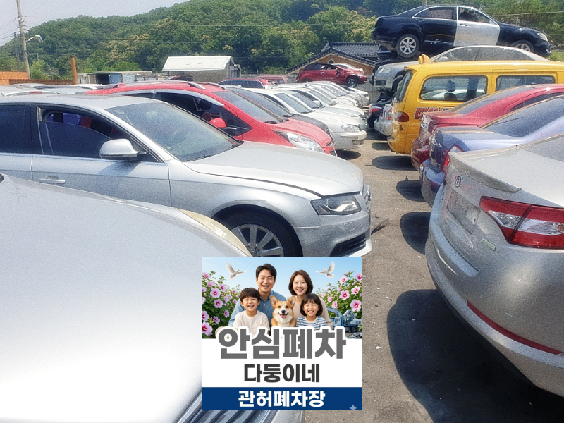 의정부시폐차장 영치차량폐차 번호판 상태 확인