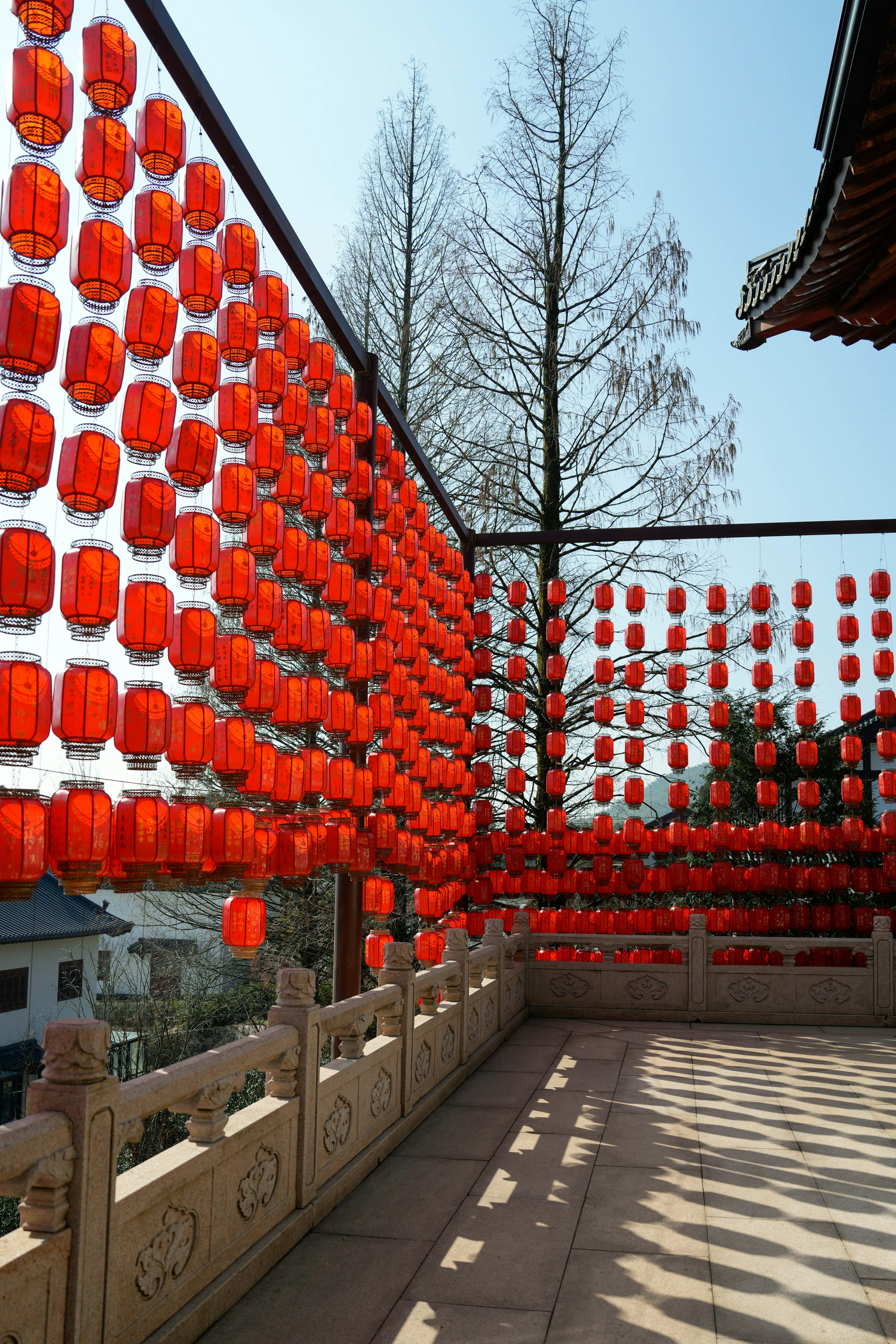 홍등이 있는 사진