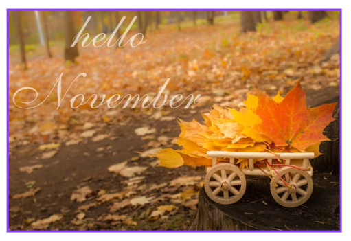 11월 인사말 가정통신문 인사말