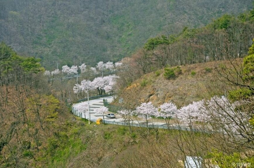 임실 가볼만한곳 베스트 10