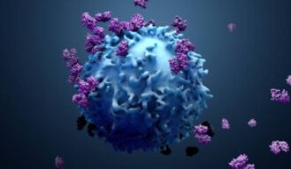  Monocyte 수치