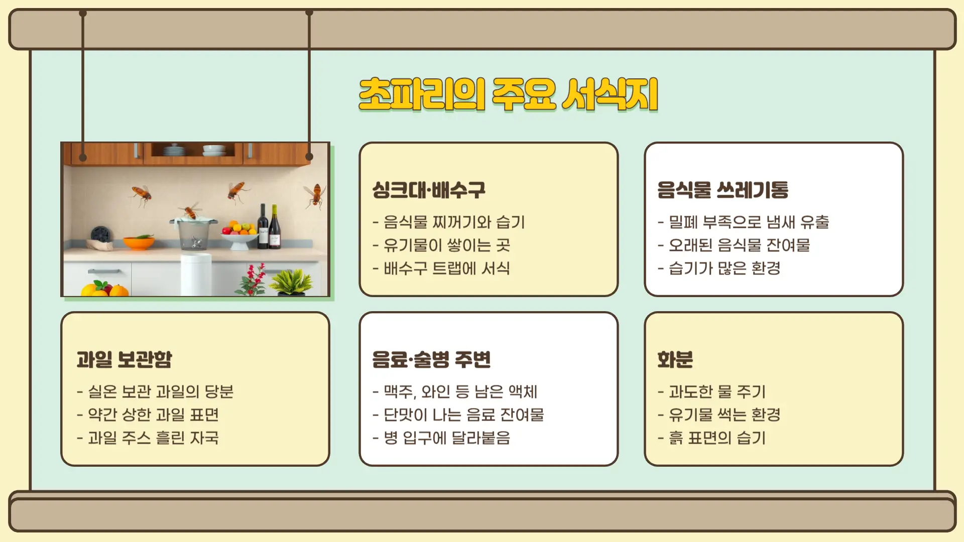 초파리 없애는 방법1