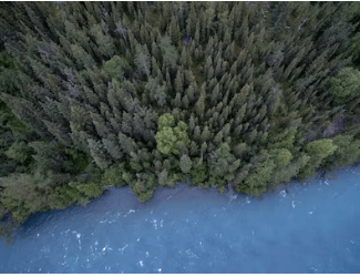 종 보존에 대한 지역사회 참여의 교육, 지역, 파트너십