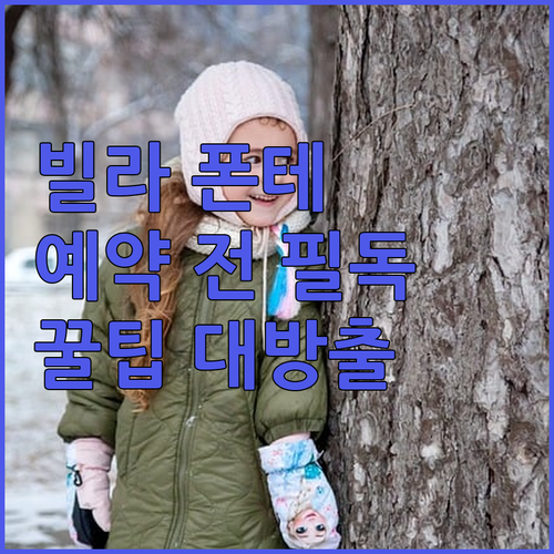 도쿄 여행 필수 정보 빌라 폰테누 호