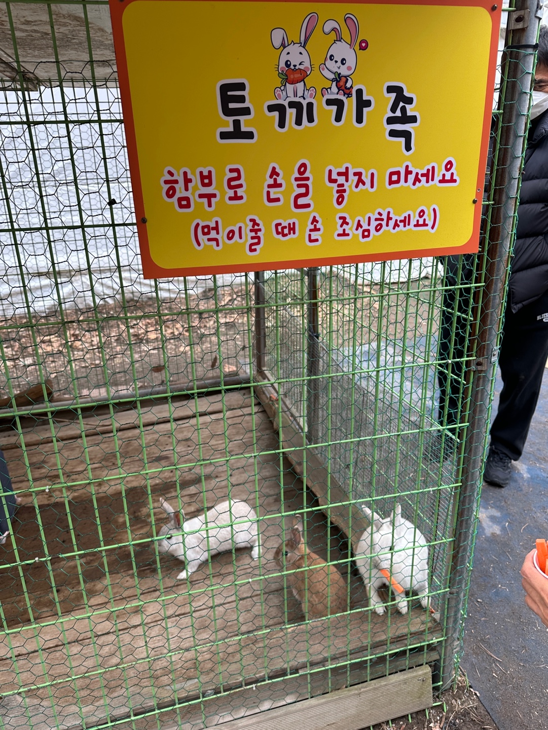 의왕 승림식물원 토끼 먹이주기 체험