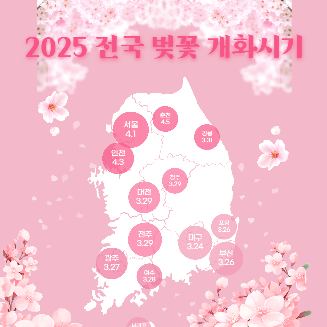 2025 벚꽃 개화시기
