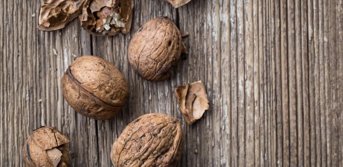 호두 효능 5가지