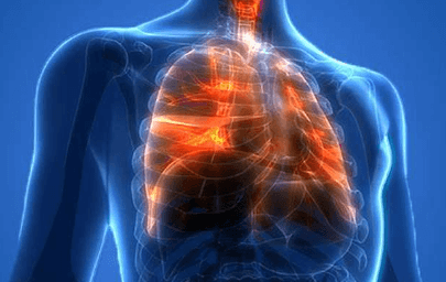 호흡기 질환에 좋은 음식