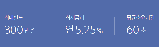 300만원 대출