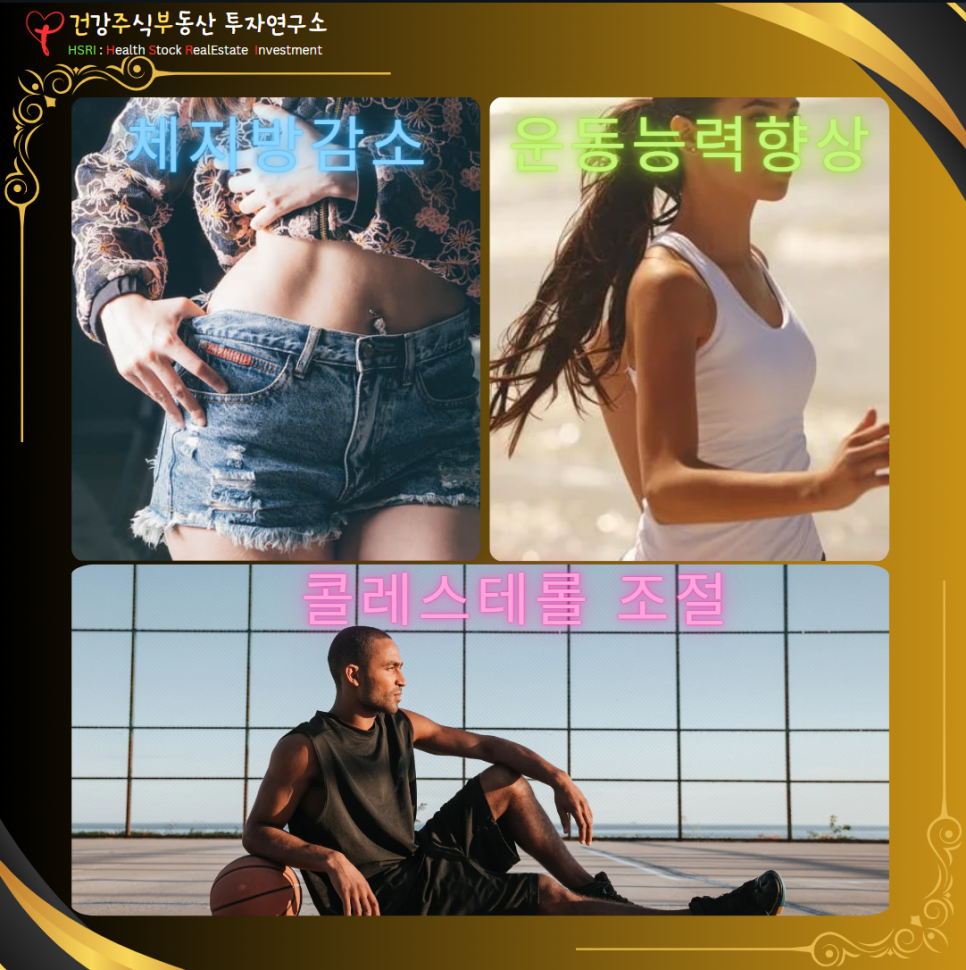 옥타코사놀 다이어트

(글 그림 : 건주부, 그림 출처 : Canva)