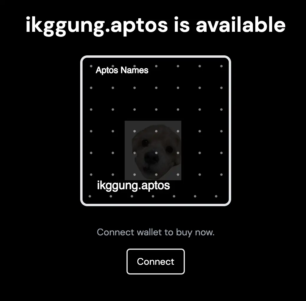 내가 생성한 aptos 네임 서비스 주소