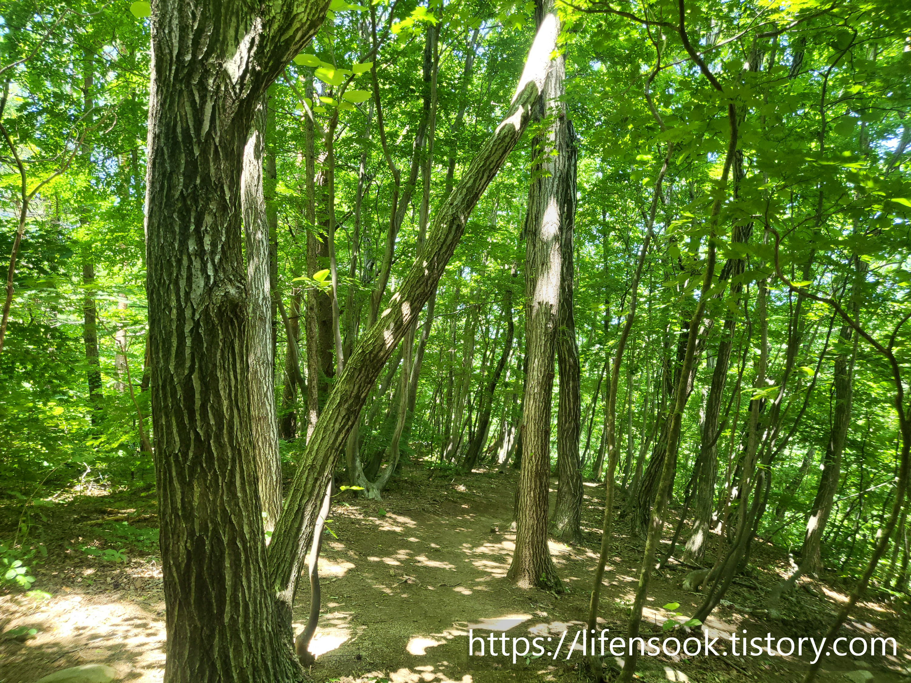 금강산 화암사 산책로 3