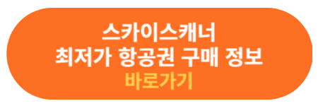스카이스캐너 항공권 구매 사이트