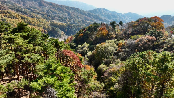 지리산 살구 카페