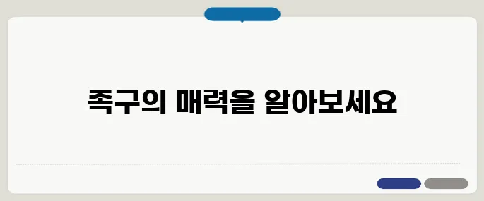 대한민국 족구협회 공식 정보 총정리