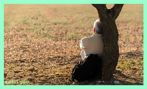 치매 초기증상 8가지 치매 초기증상자가진단법