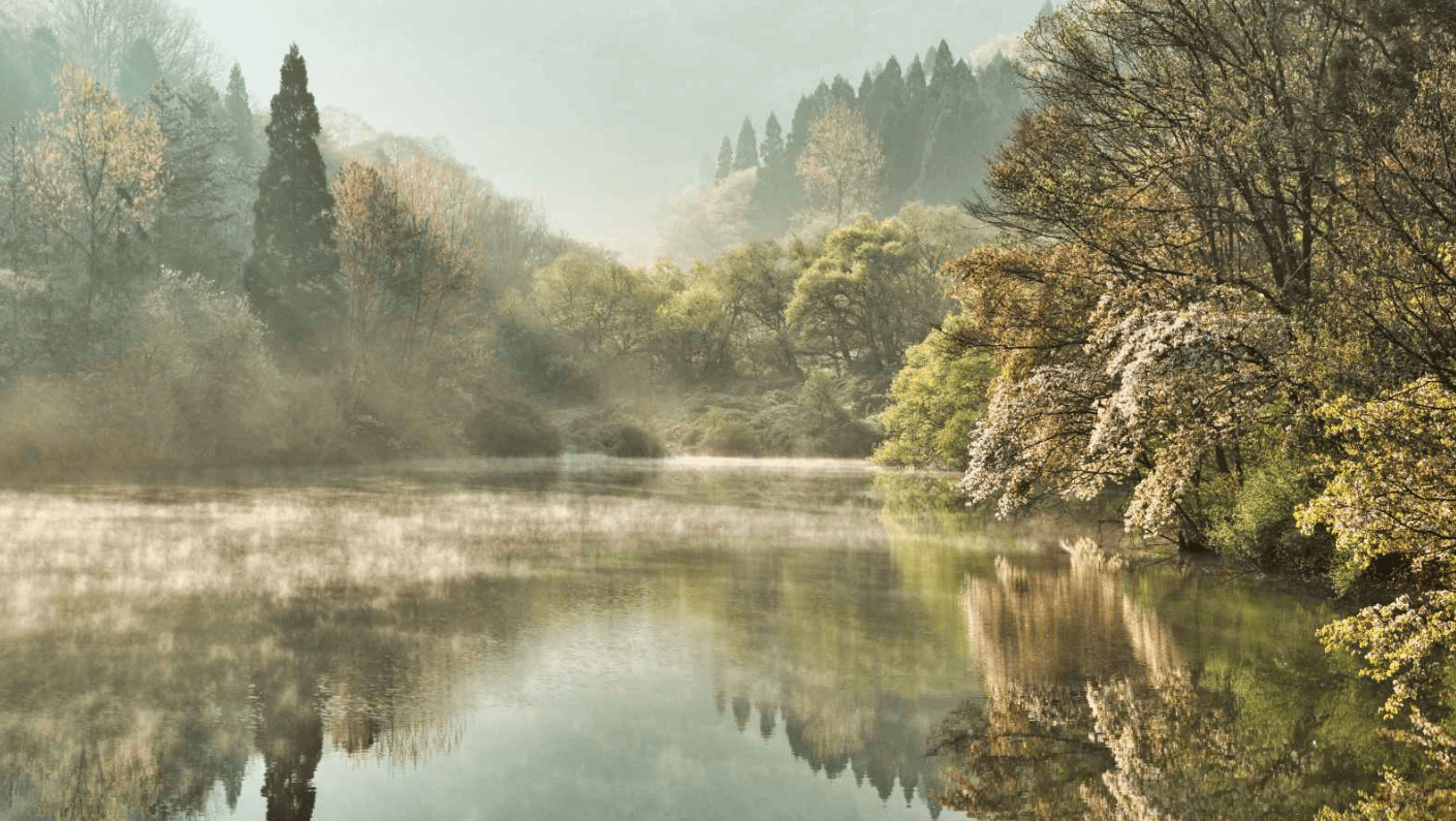 2025년 벚꽃 개화시기