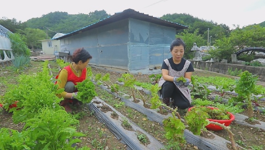 구와우순두부-점심만-영업