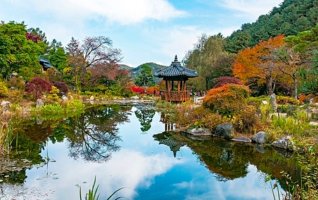 아침고요수목원 단풍