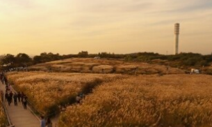 2024년 서울 억새 축제 일정