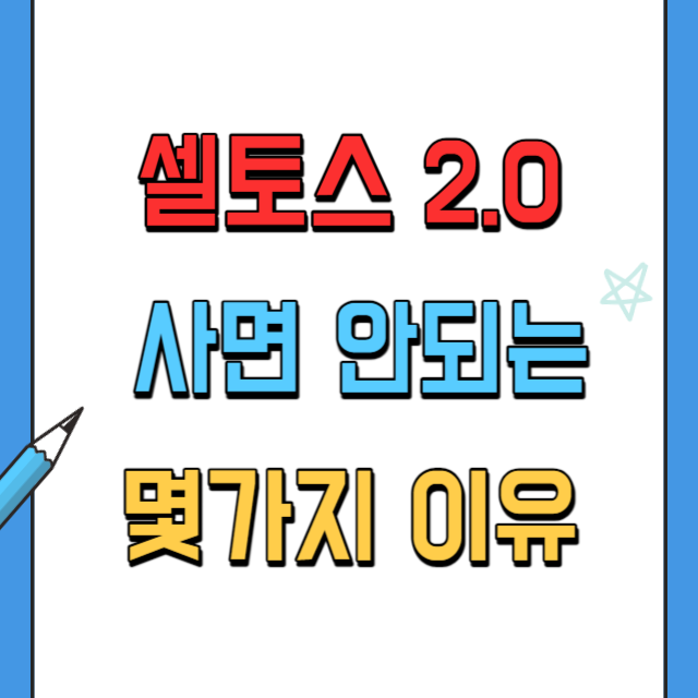 셀토스2.0사면안되는이유