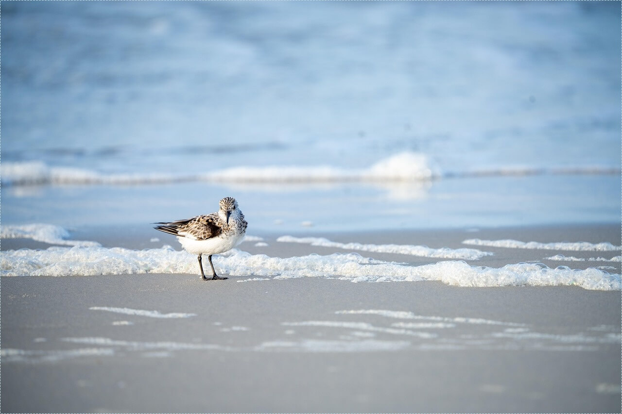 1인 창업 아이템