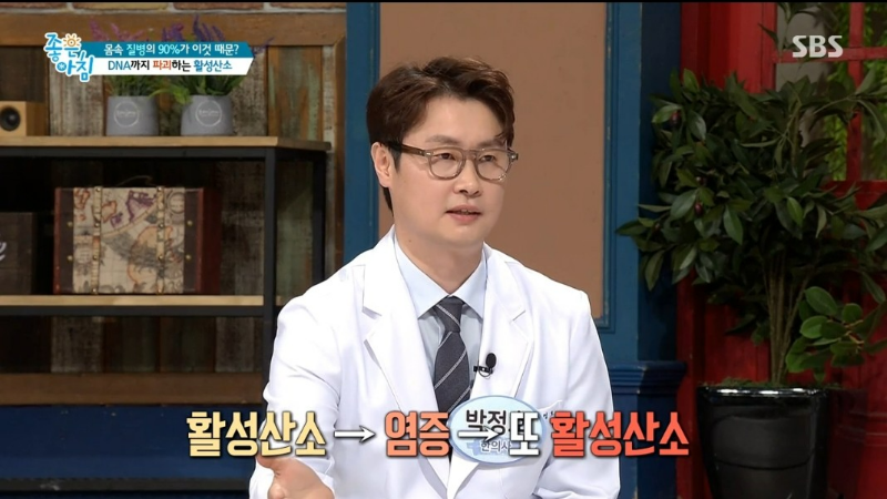 활성 산소 와 만성 염증