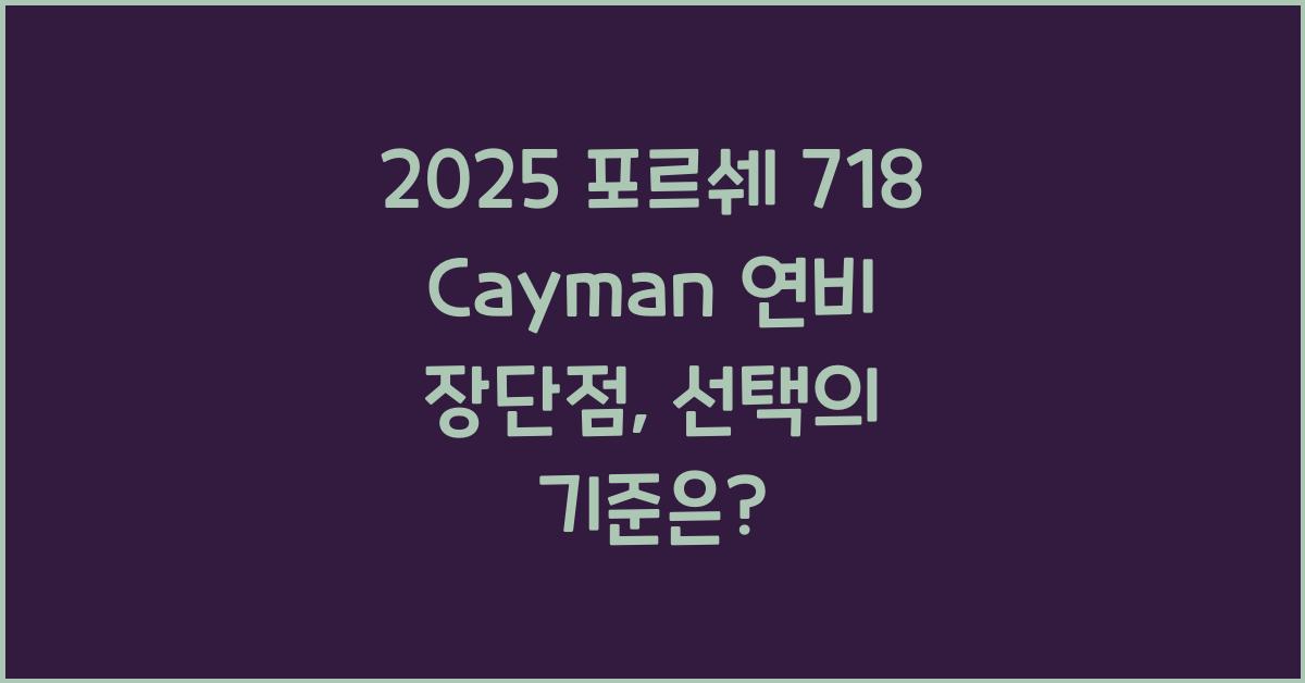 2025 포르쉐 718 Cayman 연비 장단점