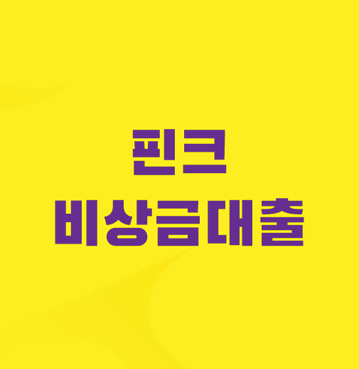 핀크-비상금대출