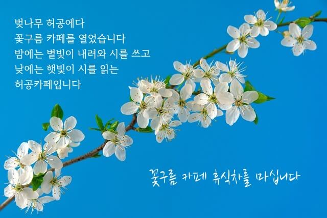 시 내용 일부가 들어간 이미지