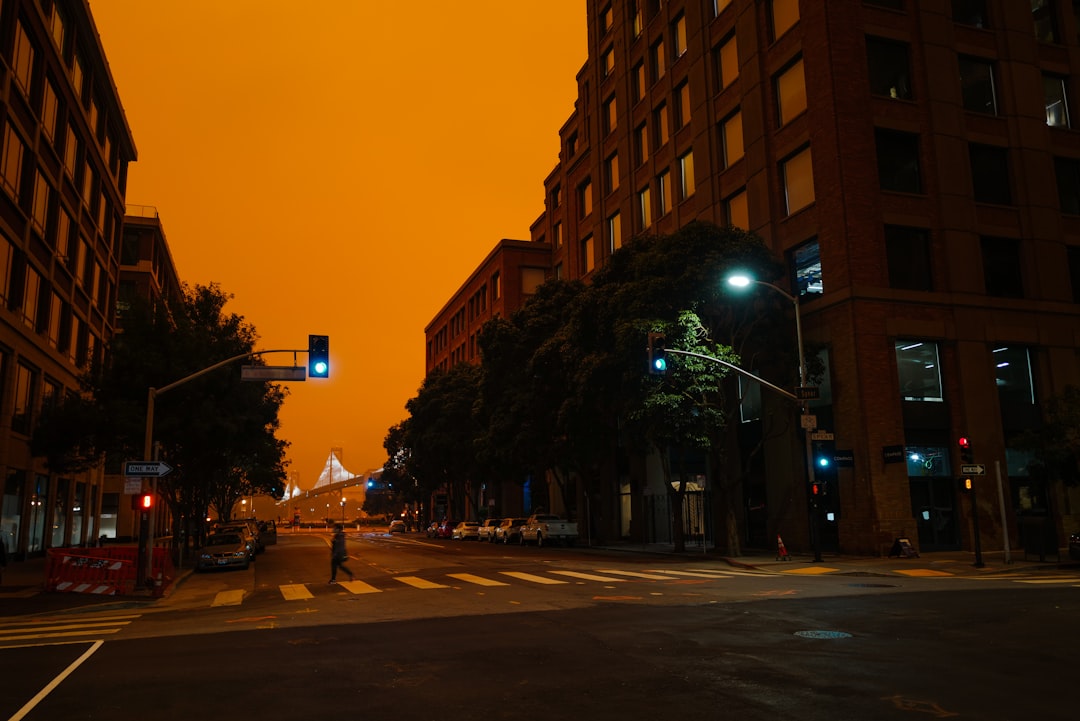 Wildfire