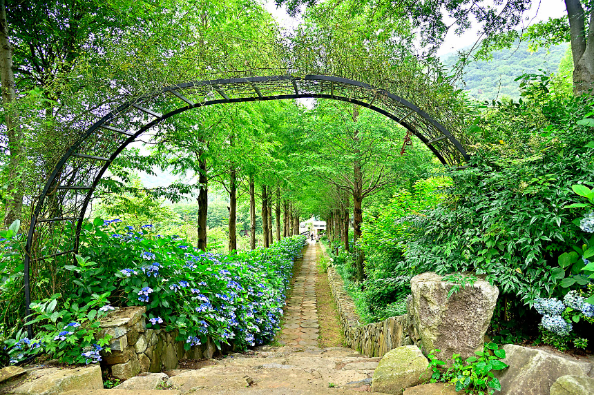 특색 있고 아름다운 민간 정원 30선 추천 여행 - 14. 고성 그레이스 정원