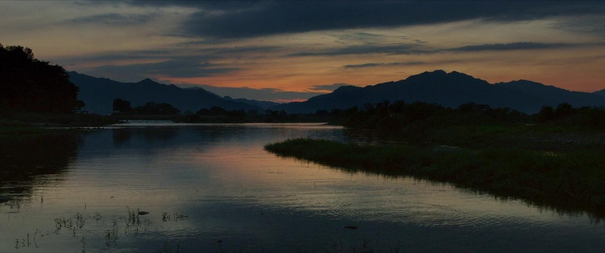 영화 곡성(The Wailing, 2016) 리뷰 ❘ 한국 오컬트 스릴러의 걸작