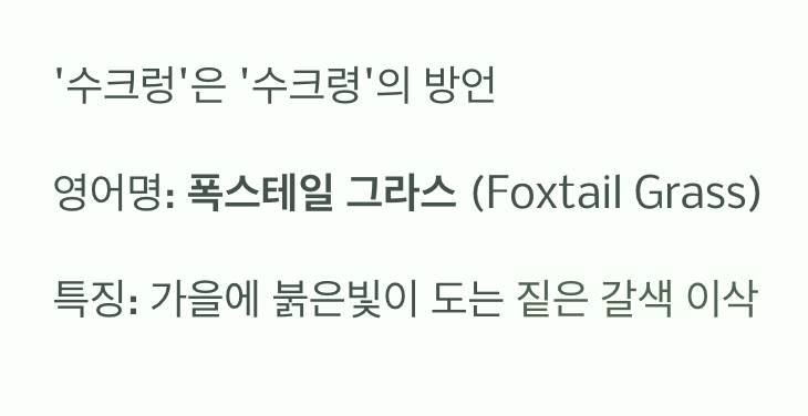 '강아지 꼬리'를 닮은 풀, 이름의 비밀