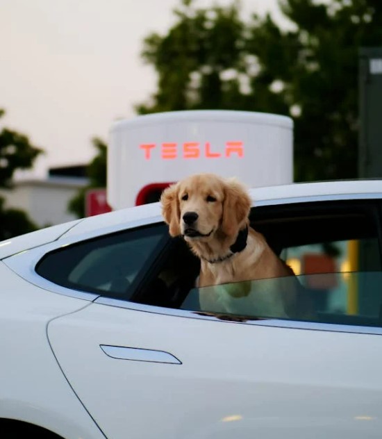 아파트 전기차 충전기 신청 방법 총정리 (2025년 최신)