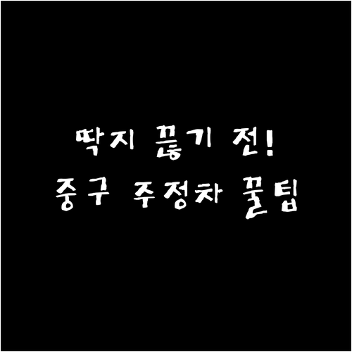 대구 중구 주정차 단속 문자 서비스 ..