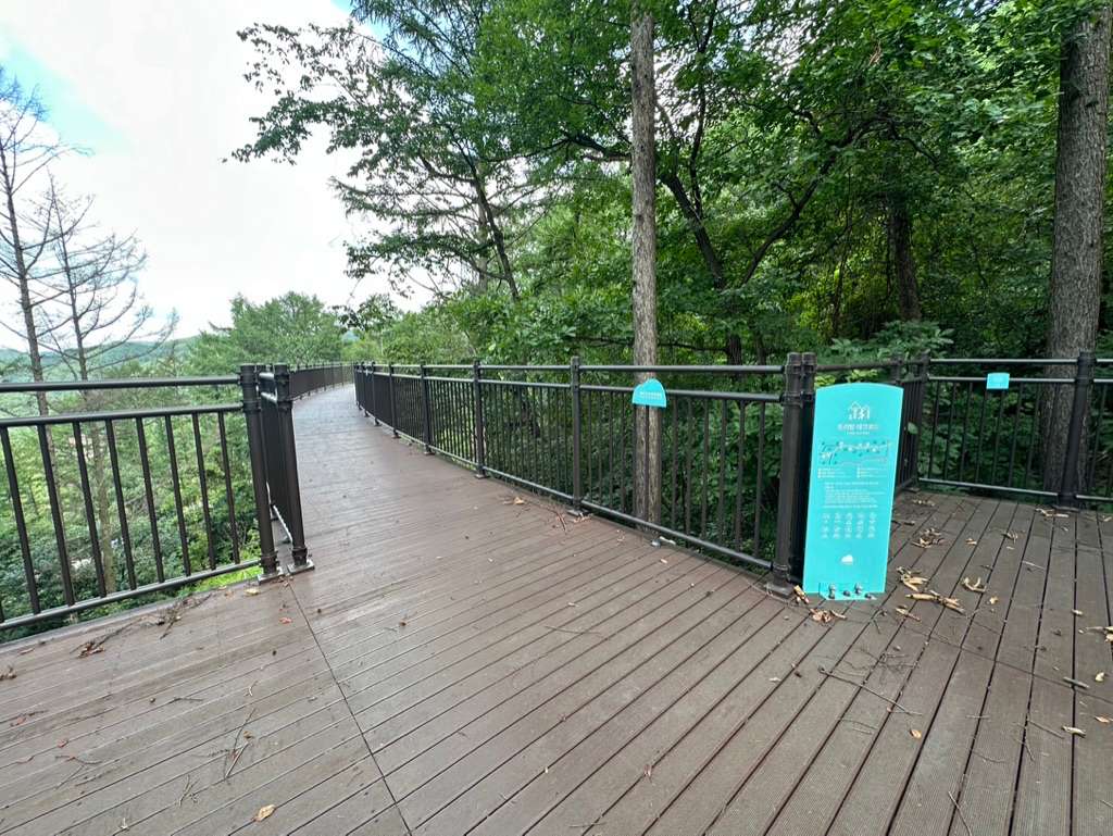 트리탑 데크로드