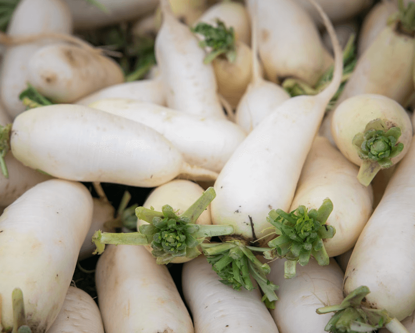 가래에 좋은 음식 무