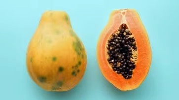 파파인 효소 복용법