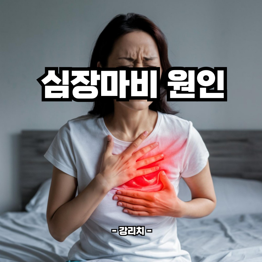 심장마비 원인