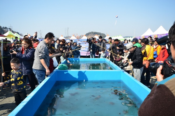 서천 동백꽃 쭈꾸미 축제